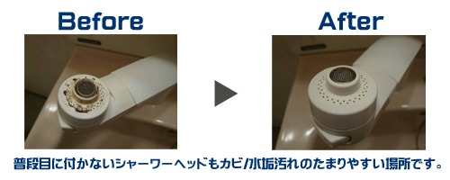 シャワーヘッドのお掃除